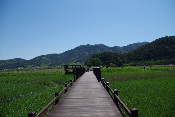3-Day Korea Western course by K-shuttle Tour from Seoul to Busan - Who This Tour Fits Best