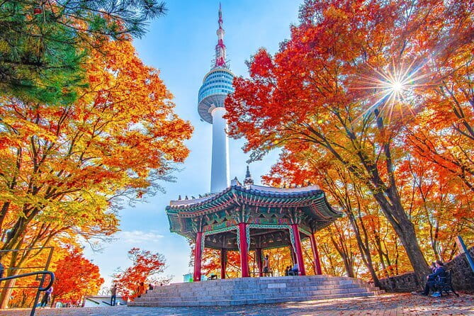 7 days Flexible Tour for Major Cities(Seoul,Busan,Gyeongju etc) - Why this 7-day Korea tour feels different