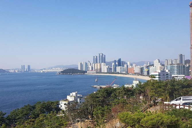 9-Days Tasty Journey Around South Korea Tour - Day 4: Tongyeong seafood chaos at Jungang Market and Busan night views