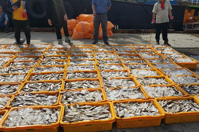 9-Days Tasty Journey Around South Korea Tour - Day 5: Haeundae Beach, Haedong Yonggungsa on the shore, and Busan’s memory villages