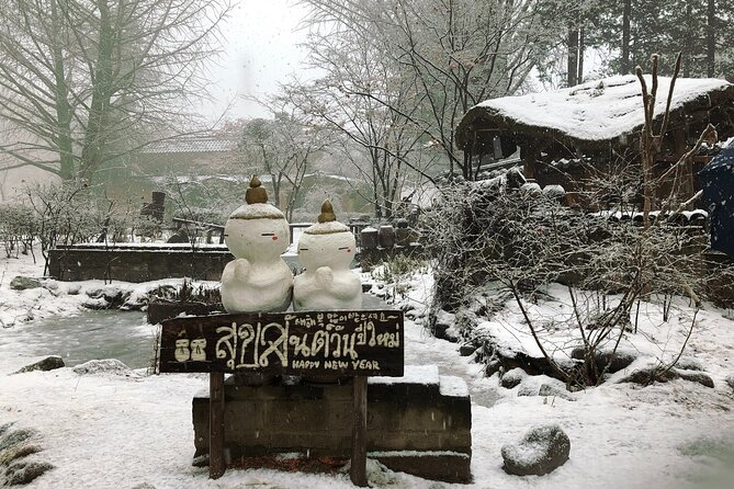 Alpaca, Nami, Eobi with Rail Bike or Strawberry - Nami Island: half-moon island walks and that Winter Sonata vibe