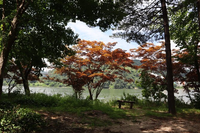 Alpaca, Nami, Petite Fr, Italian Village, Garden of Morning Calm - Key points to know before you go