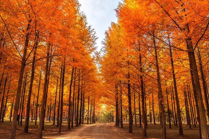 Alpaca, Nami, Petite Fr, Italian Village, Garden of Morning Calm - Nami Island’s Winter Sonata connection and walk-through scenery