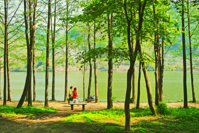 Alpaca World and Nami Island with Gangchon Rail Bike Tour - A Seoul Day Trip That Packs a Lot Without Feeling Chaotic