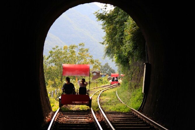 Alpaca World and Nami Island with Gangchon Rail Bike Tour - Gangchon Rail Park Rail Bike: Old Tracks, Scenic Views, and Windy Fun