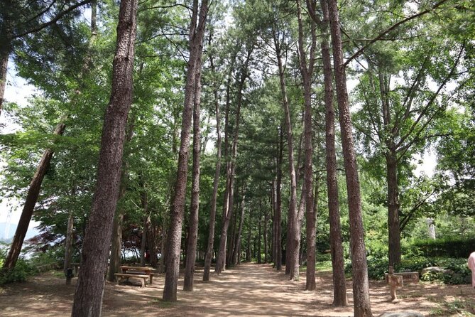 Alpaca World and Nami Island with Gangchon Rail Bike Tour - How Guides Keep the Day Running: Clear Instructions, Added Details
