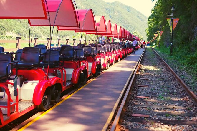 Alpaca World and Nami Island with Gangchon Rail Bike Tour - Alpaca World: Feeding Time and a Farm That Isn’t Only Alpacas