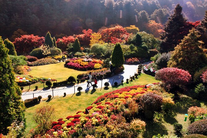 Alpaca World & Nami Island & Garden of Morning Calm One Day Tour - Getting From Hongik Univ. Station to the Countryside Without Losing Your Mind