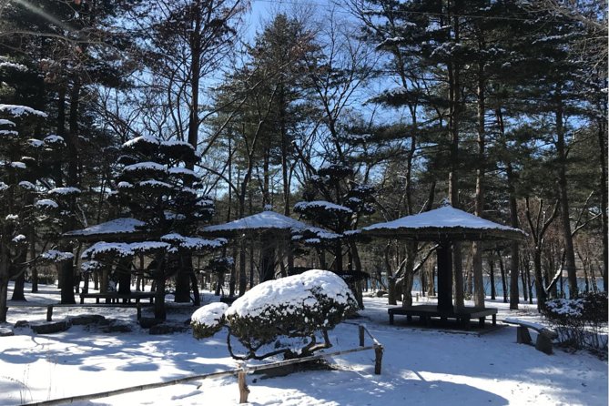 Alpaca World & Nami Island & Garden of Morning Calm One Day Tour - Garden of Morning Calm: Flowers, Winter Prep, and a Quieter Ending