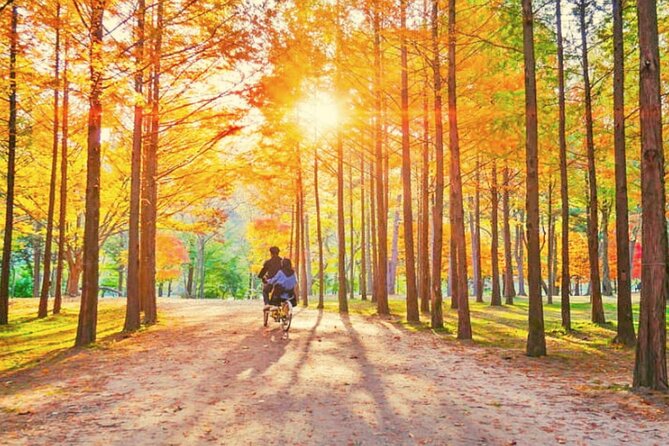 Alpaca World & Nami Island & Garden of Morning Calm One Day Tour - Guides Make or Break the Day: English, Chinese, and Real Help