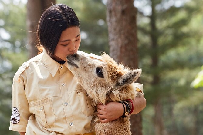 Alpaca World & Nami Island & Garden of Morning Calm One Day Tour - Alpaca World: More Than Alpacas, and Why the Feeding Time Matters