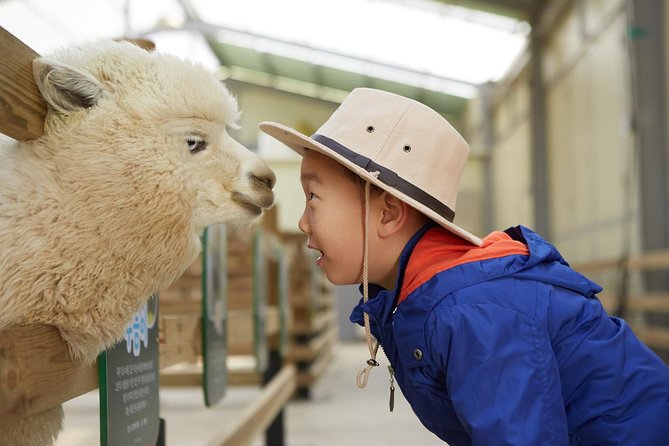 Alpaca World, Railbike and Vivaldi Park Experiences from Seoul - Chuncheon Without the Stress: How the Seoul-to-3-Parks Day Works