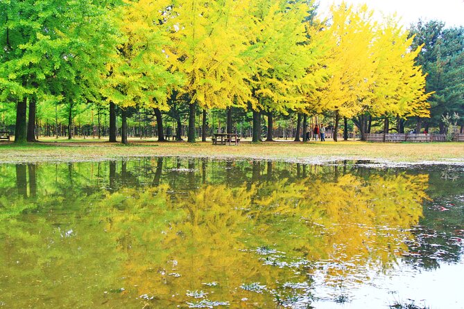 Alpaca World Tour with Nami Island (optional Railbike or Garden) - Stop 2: Nami Island walks, biking, and film-famous calm