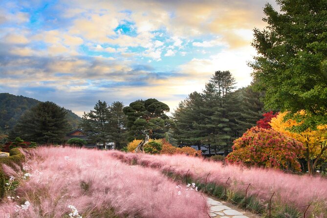 Alpaca World Tour with Nami Island (optional Railbike or Garden) - Gangchon Rail Park: railbike riding and the private-cart surcharge
