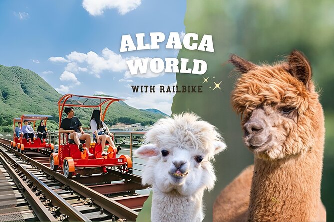 Alpaca World with Gangchon Rail Park One Day Tour - Key highlights before you go