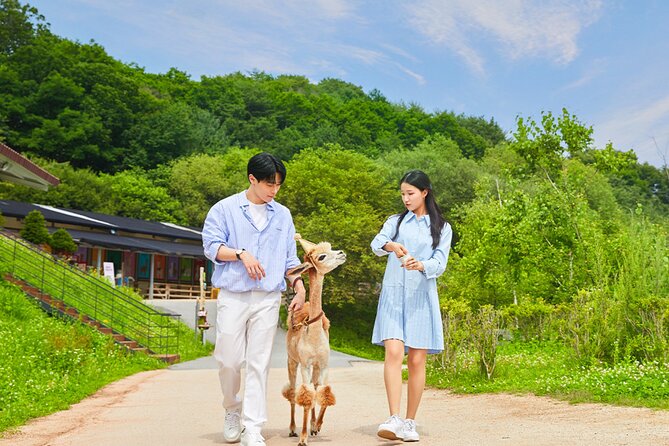 Alpaca World with Gangchon Rail Park One Day Tour - Gangchon Rail Park rail bikes: pedaling an old track near Bukhan River
