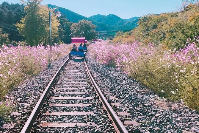 Alpaca World with Gangchon Rail Park One Day Tour - What about zip line and extra stops like Nami Island?