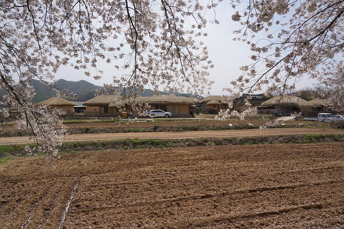 Andong Hahoe Folk Village [UNESCO World Heritage] Private Tour from Seoul - Tips to Make This Day Trip Feel Effortless