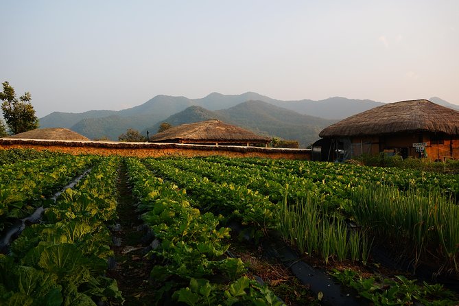 Andong Hahoe Village [UNESCO site] Premium Private Tour from Seoul - Hahoe Mask Museum: why these masks matter to the village story