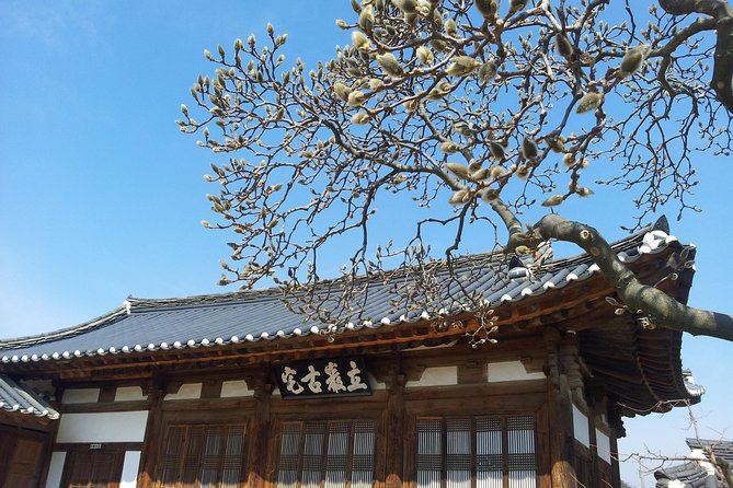 Andong Hahoe Village [UNESCO site] Premium Private Tour from Seoul - What the timing feels like on the ground