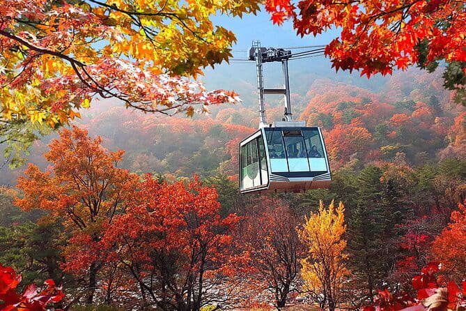Autumn Foliage-Mt. Seorak, Sokcho Fish Market, Sokcho Beach - Key highlights you’ll feel right away