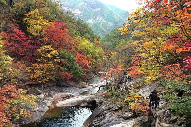 Autumn Foliage-Mt. Seorak, Sokcho Fish Market, Sokcho Beach - Price and how this $68 day trip adds up