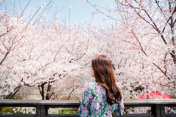 Chasing Cherry Blossom & Spring Flowers Day Tour from Seoul - Key things to know before you go