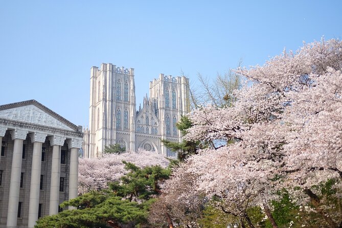 Chasing Cherry Blossom & Spring Flowers Day Tour from Seoul - How a full-day spring route works (and why it’s worth it)