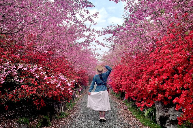 Chasing Cherry Blossom & Spring Flowers Day Tour from Seoul - Price and value: what $64.47 buys you
