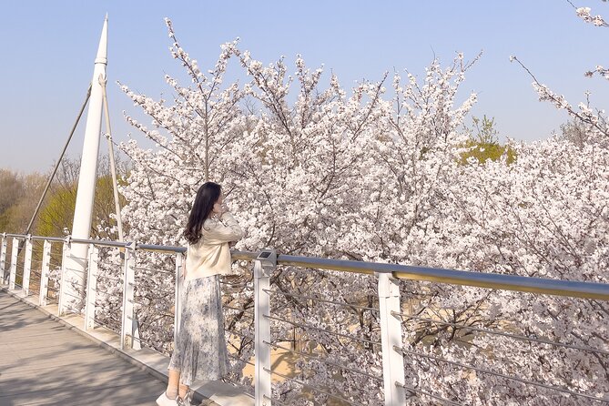Chasing Cherry Blossom & Spring Flowers Day Tour from Seoul - Who this tour suits best (and who should rethink it)