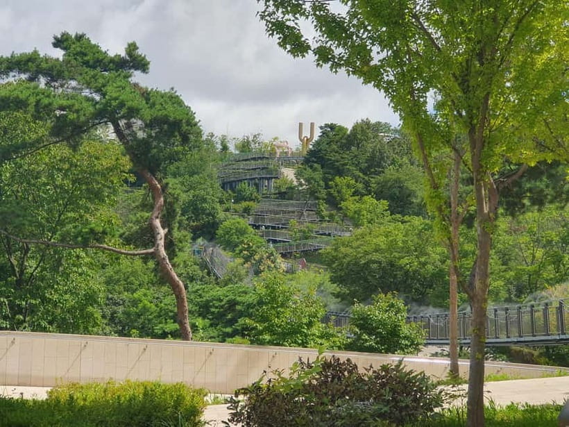Closest Observatory to DMZ: North Korea View(Starbucks Tour) - If military operations cancel: your Plan B is baked in