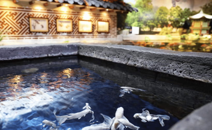 Coex Aquarium Entry Ticket - Break time and pacing: rest areas that actually help