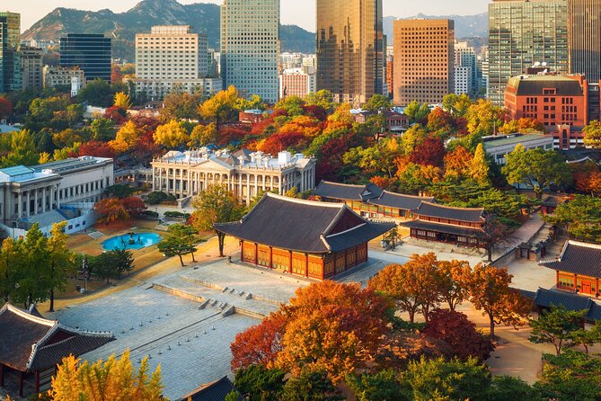 Cruise Guests Layover Incheon Port Seoul Private Car Tour - Namsan Park and N Seoul Tower: city views in a compact 1-hour block