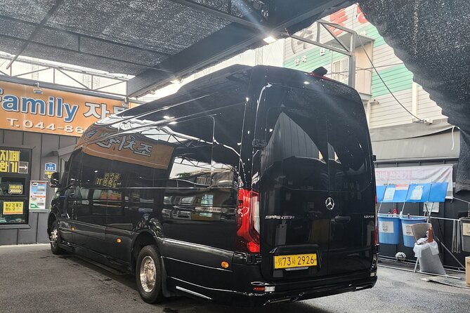 Customizable Private Seoul Tour in luxury van for VIP - Changdeokgung Palace and the Secret Garden experience