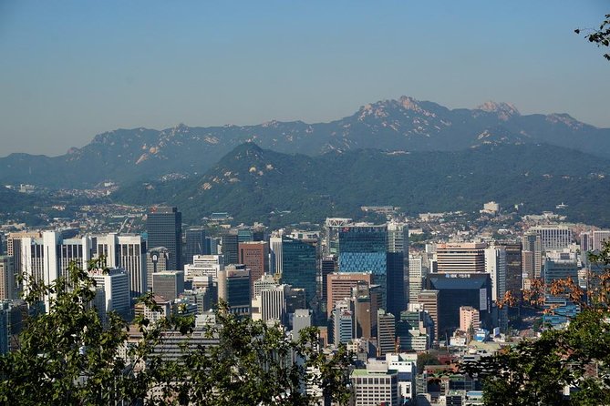 Customized Private Seoul tour: Palace, Market etc(Airport Option) - The private-ride advantage: how you actually save time in Seoul
