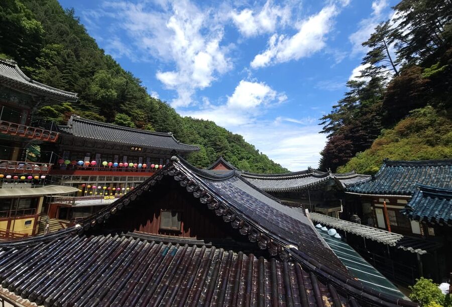 Danyang Tour:Guinsa Temple & Bobaljae & Cheongpung Cable Car - Who this Danyang day trip is best for