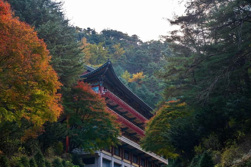 Danyang Tour:Guinsa Temple & Bobaljae & Cheongpung Cable Car - Guinsa Temple: Korea’s largest temple in the trees