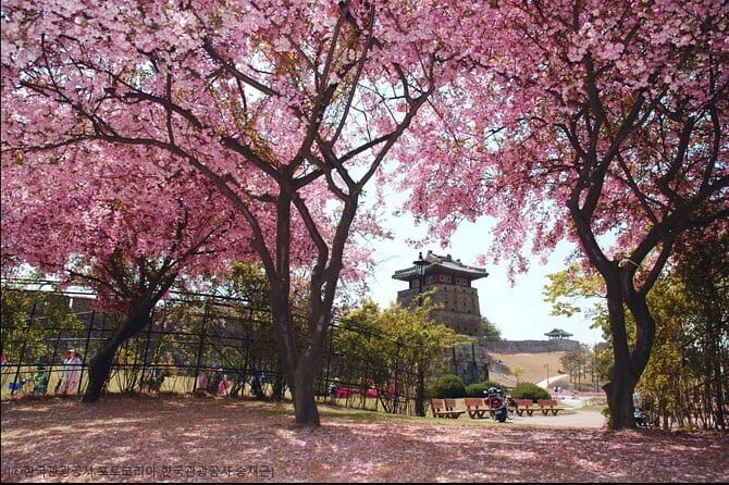 Day Tour of Suwon Hwaseong Fortress Starfield Waujeongsa Temple - Guides can make or break a day like this