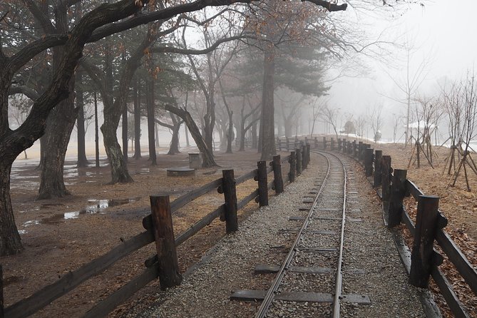 Day Tour to Gangchon Rail Bike Nami Island and Petite France - Stop 1: Gapyeong Rail Bike from 가평군청—fun pacing and the seating reality