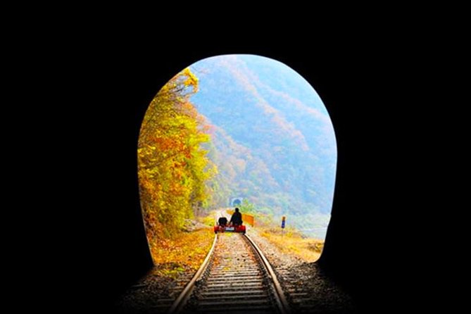 Day Tour to Gangchon Rail Bike Nami Island and Petite France - The guide/driver impact: why Brian is a name to remember