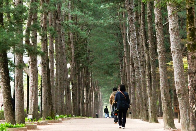 Day Trip to Nami Island with Rail bike and The Garden of Morning Calm - The big idea: a Seoul escape that avoids planning headaches