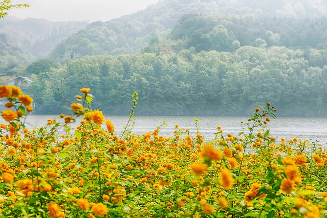 Day Trip to Nami Island with Rail bike and The Garden of Morning Calm - What you’re paying for: value at $76.19 per person
