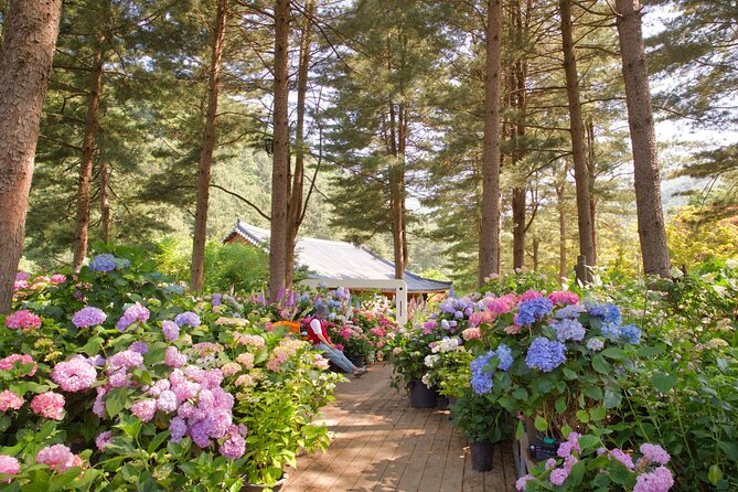 Day Trip to Nami Island with Rail bike and The Garden of Morning Calm - Best fits (and not-so-best fits) for this day trip