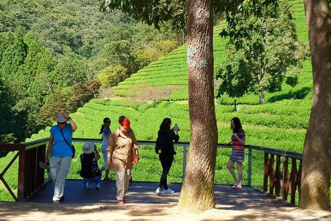 Discover Western Korea in 4days: All-Inclusive Experience - Practical Tips That Make This Tour Smoother
