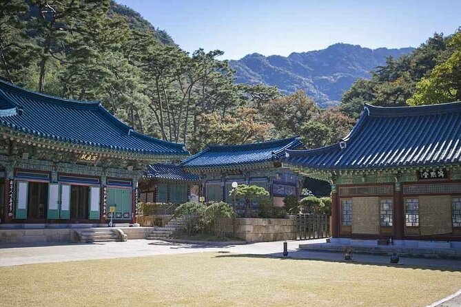 DMZ, Eunpyeong village and Jinkwansa Temple Private Tour - The DMZ portion: more than a viewpoint stop