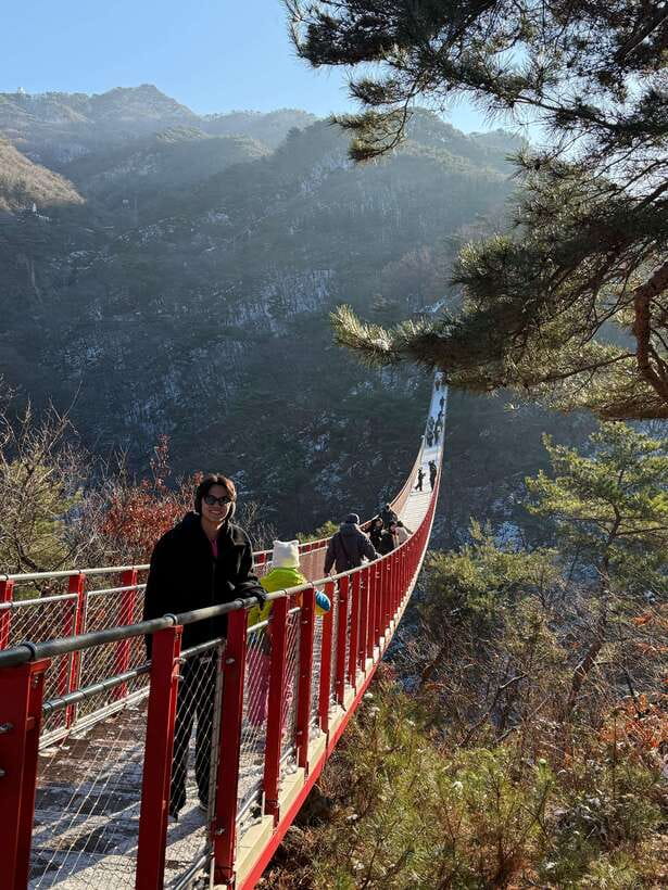 DMZ; NK Defector, 3rd Tunnel, Suspension Bridge,Hotel pickup - Unification Village Pass-By and the Suspension Bridge Detour
