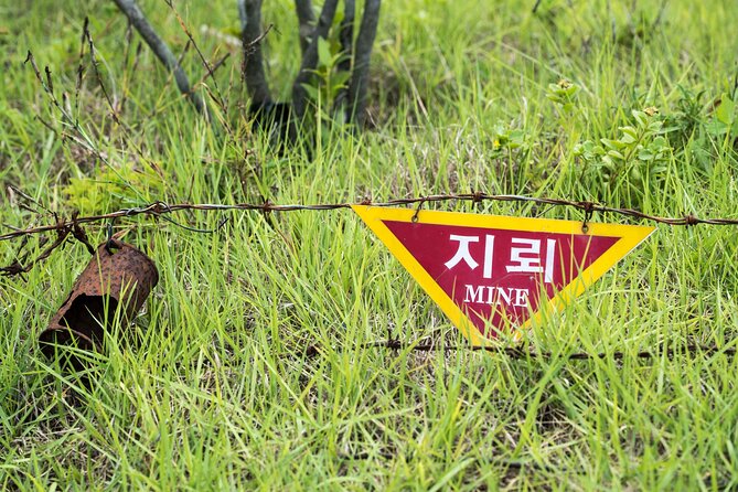 DMZ One Day Tour in Gyeonggi-do with English or Spanish - Who this tour suits best (and who might reconsider)