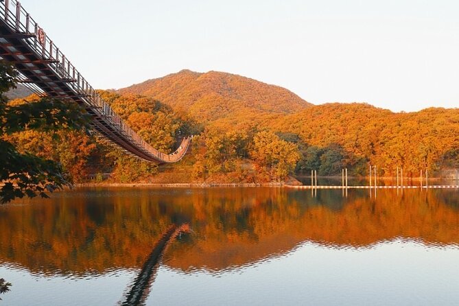 DMZ Private Tour: 3rd Tunnel, Option(Suspension Bridge, Boat) - What Makes This Tour Worth Your Time (Beyond the Stops)