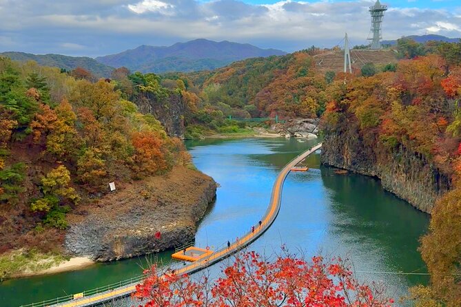 DMZ Tour, 2nd Tunnel & UNESCO Suspension Bridge Tour from Seoul - Practical tips to make this DMZ day feel manageable