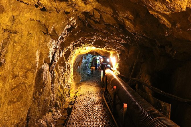 DMZ Tour: 3rd Tunnel, Option(Suspension Bridge, Boat) from Seoul - Key takeaways before you go